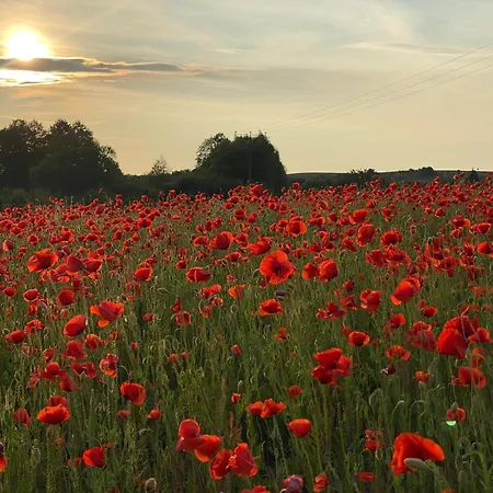Antonowka Semesterbostad Lubieszewo (Drawsko)