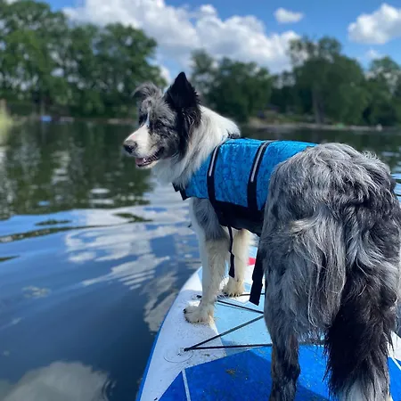 Semesterbostad Antonowka