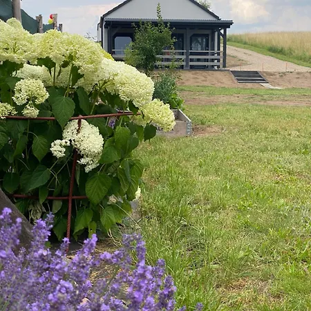Antonowka * Lubieszewo (Drawsko)