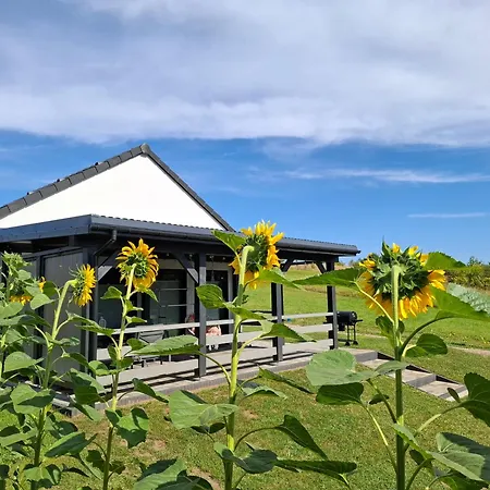 Antonowka Holiday home Lubieszewo (Drawsko)
