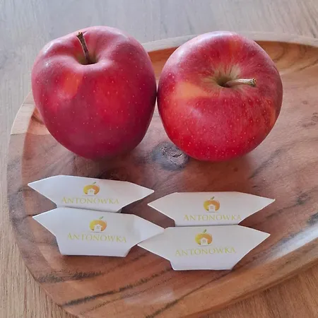 Antonowka Casa vacanze *