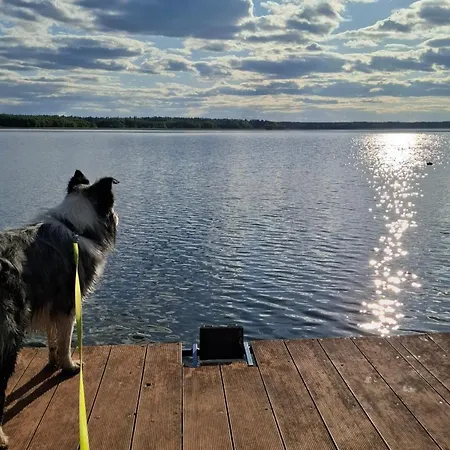 Antonowka Lubieszewo (Drawsko)