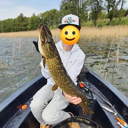 Antonowka