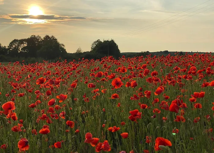 Antonowka Дом отдыха Lubieszewo (Drawsko)