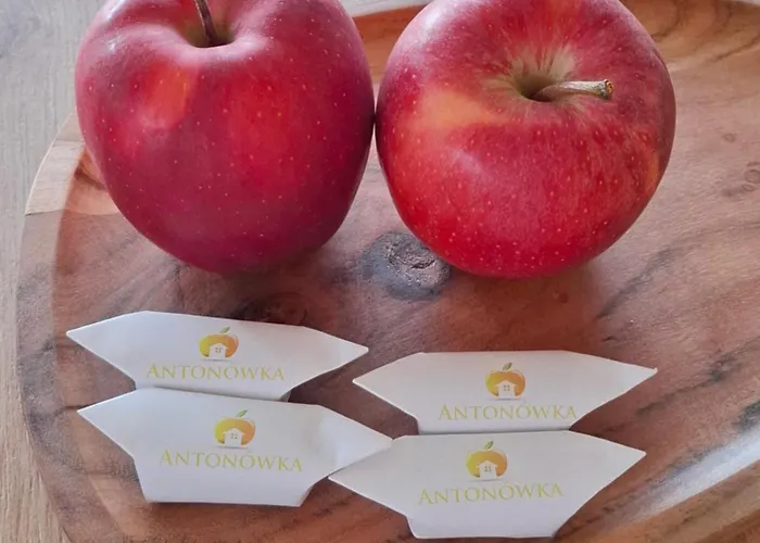 Antonowka Дом отдыха *