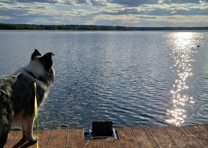 Antonowka Lubieszewo (Drawsko)